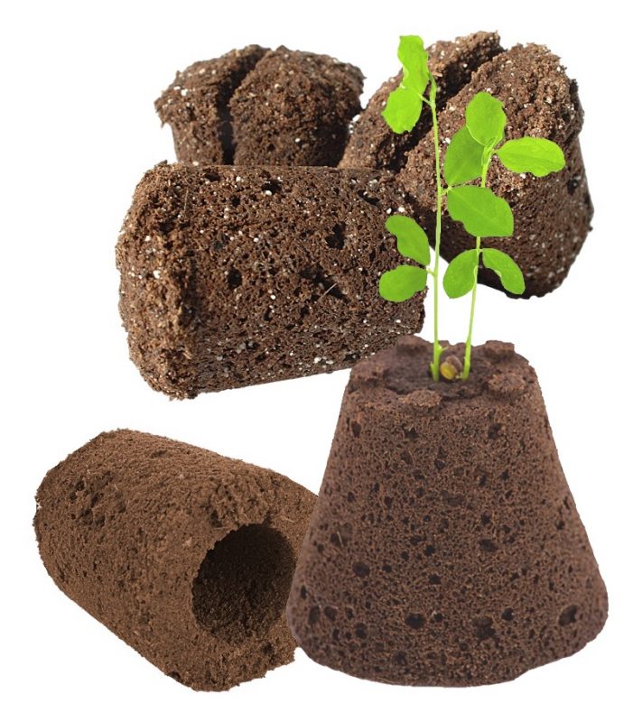 Les semences Serres-Urbaines