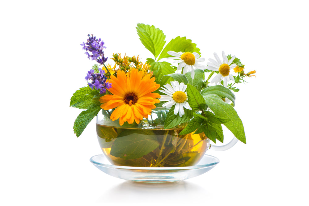 Gousses de semences infusion