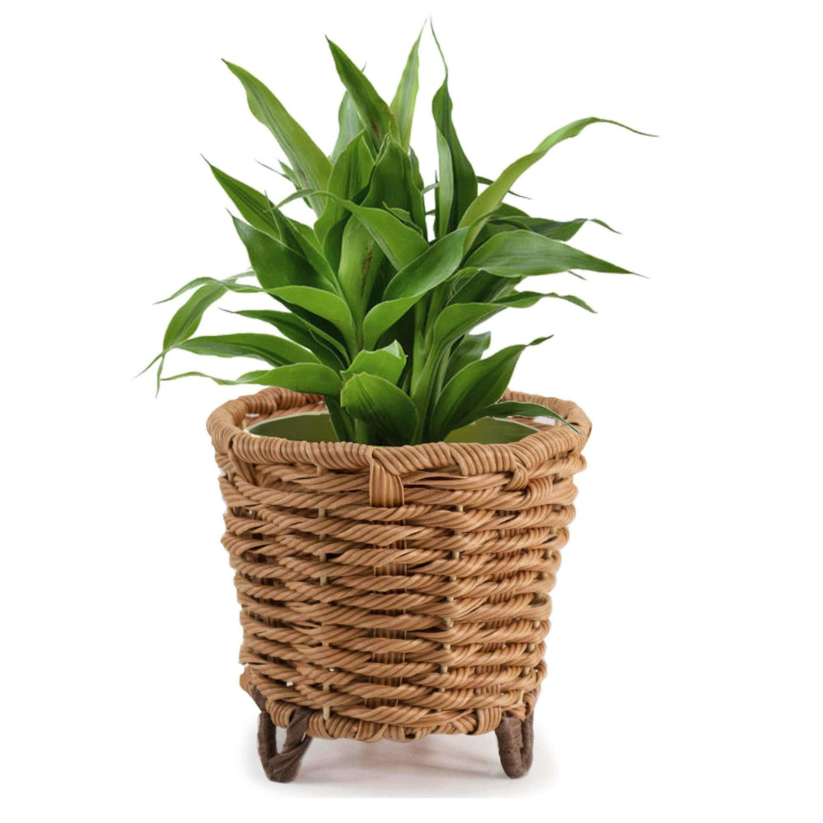 Plant pot basket (natural)